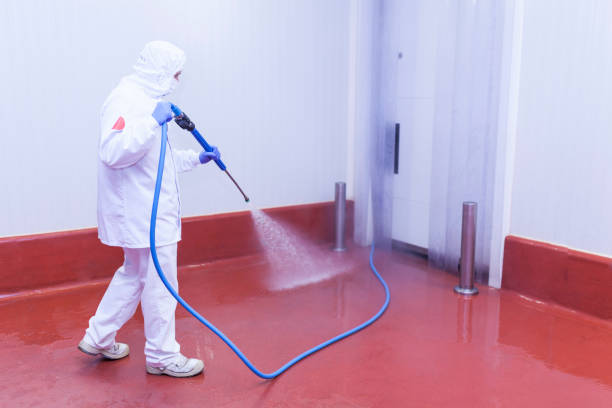 Best Restaurant Pressure Washing  in Grandview, TX